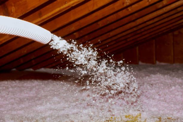 Best Residential Insulation in Port Aransas, TX