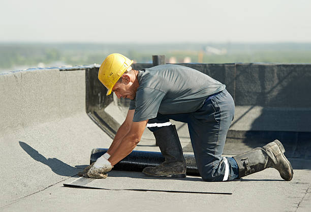 Best Cellulose Insulation in Port Aransas, TX